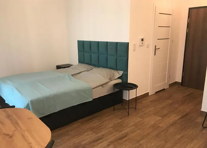 Steam Park Rakowicka Koper Apartment