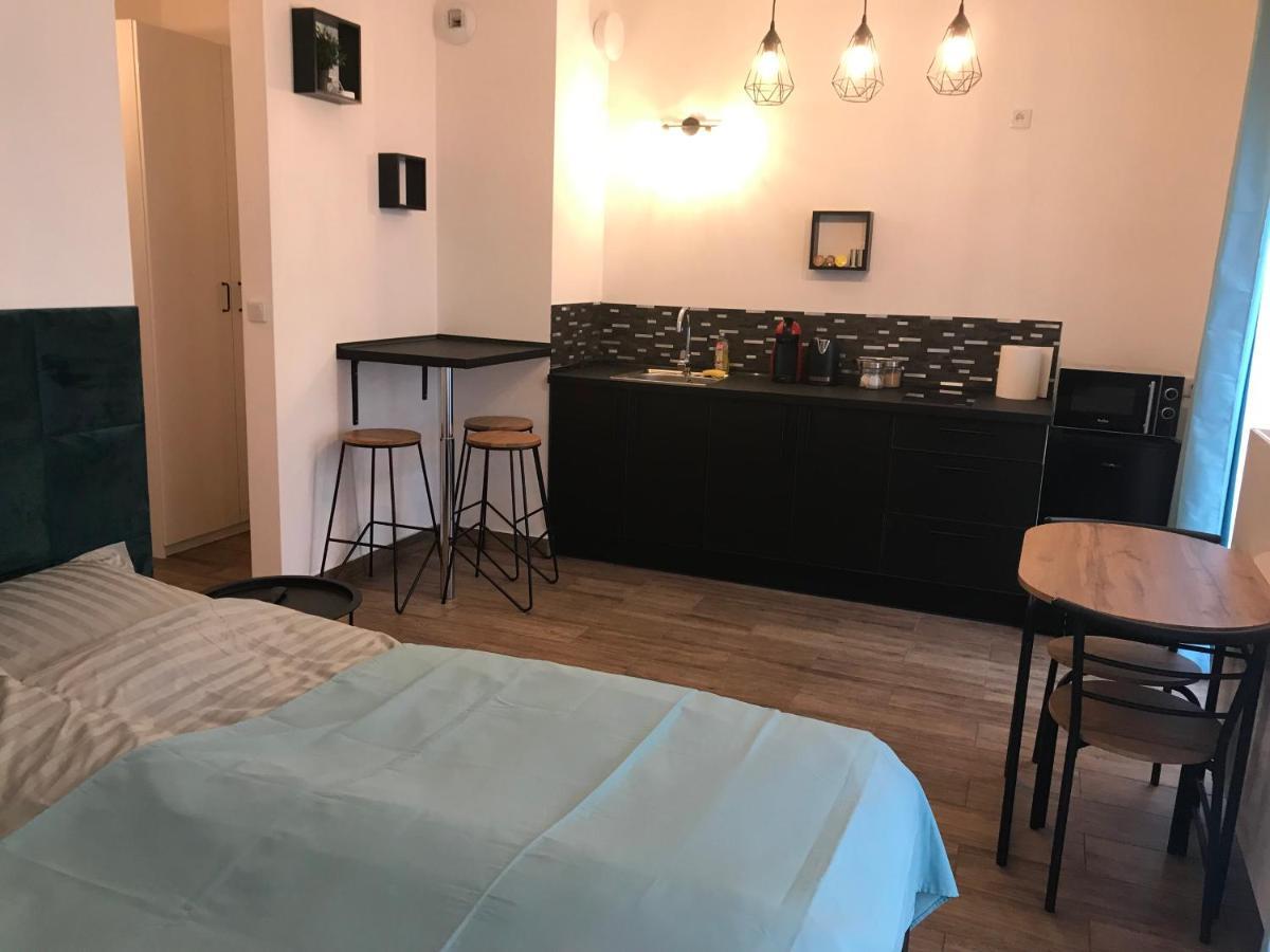 Steam Park Rakowicka Koper Apartamento Cracovia